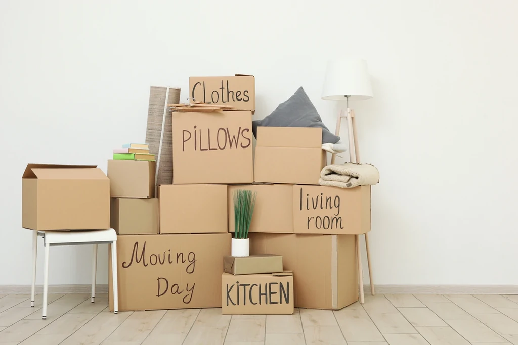 Featured image for The Art of Efficient Self-Storage Packing