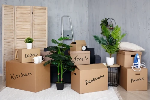 Cardboard boxes labeled kitchen, bedroom, toys, and books in a living room with plants, showing organized packing.